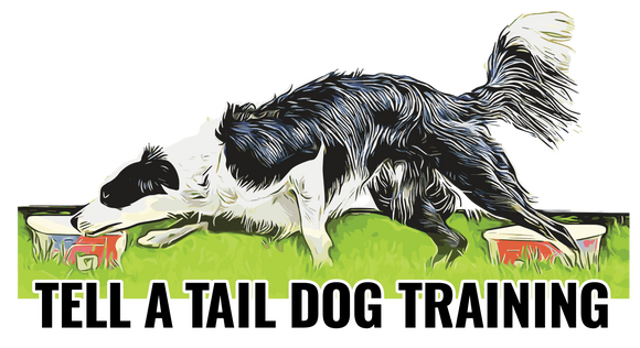 Tell A Tail Dog Training