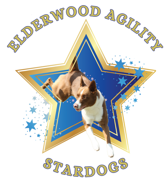 Elderwood Agility StarDogs