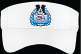 CHICE/Visor/STC27