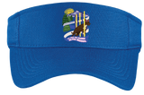 CATREG25/Visor/STC27