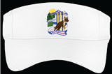 CATREG25/Visor/STC27