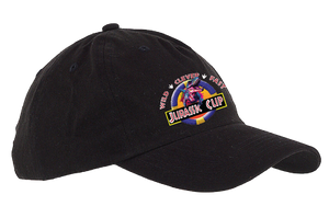 JCUP23/5 or 6 Panel Low Profile Hat/BX008